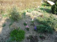 dvorska_panasonic_p1000062.jpg: 244k (2009-04-10 15:05)