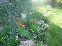 dvorska_panasonic_p1000071.jpg: 186k (2009-04-15 07:30)