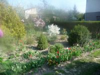 dvorska_panasonic_p1000074.jpg: 201k (2009-04-15 07:33)