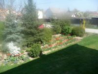 dvorska_panasonic_p1000075.jpg: 158k (2009-04-16 09:08)