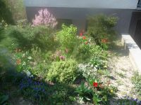 dvorska_panasonic_p1000078.jpg: 199k (2009-04-16 09:10)