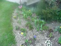 dvorska_panasonic_p1000080.jpg: 187k (2009-04-16 09:11)