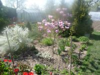 dvorska_panasonic_p1000086.jpg: 218k (2009-04-16 09:15)