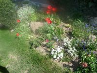 dvorska_panasonic_p1000088.jpg: 228k (2009-04-16 09:16)