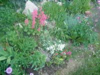 dvorska_panasonic_p1000100.jpg: 146k (2009-05-11 05:21)