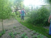 dvorska_panasonic_p1000115.jpg: 159k (2009-05-11 05:27)