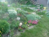 dvorska_panasonic_p1000119.jpg: 195k (2009-05-11 05:28)