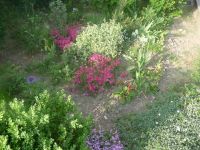 dvorska_panasonic_p1000126.jpg: 217k (2009-05-11 05:32)