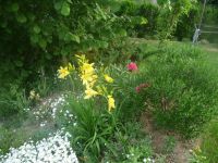 dvorska_panasonic_p1000134.jpg: 180k (2009-05-18 04:03)