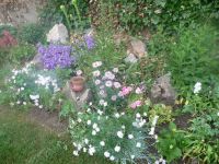 dvorska_panasonic_p1000152.jpg: 193k (2009-05-29 04:21)