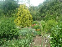 dvorska_panasonic_p1000197.jpg: 262k (2009-06-13 09:13)