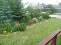 dvorska_panasonic_p1000203.jpg: 169k (2009-06-19 09:47)