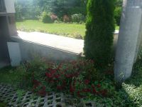 dvorska_panasonic_p1000215.jpg: 139k (2009-06-25 14:18)