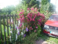 dvorska_panasonic_p1000217.jpg: 214k (2009-06-25 14:31)