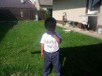 dvorska_panasonic_p1000218.jpg: 140k (2009-06-25 14:38)