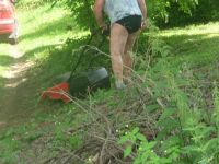 dvorska_panasonic_p1000244.jpg: 125k (2009-06-30 12:52)