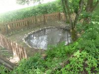 dvorska_panasonic_p1000248.jpg: 188k (2009-06-30 12:57)