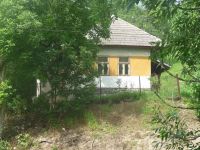 dvorska_panasonic_p1000251.jpg: 204k (2009-06-30 12:59)