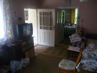 dvorska_panasonic_p1000253.jpg: 90k (2009-06-30 13:03)