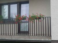 dvorska_panasonic_p1000281.jpg: 131k (2009-07-08 04:28)