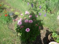 dvorska_panasonic_p1000291.jpg: 239k (2009-07-16 08:04)