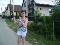 dvorska_panasonic_p1000307.jpg: 151k (2009-07-17 14:53)