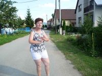 dvorska_panasonic_p1000308.jpg: 158k (2009-07-17 14:53)