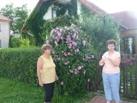 dvorska_panasonic_p1000316.jpg: 183k (2009-07-19 16:16)