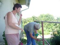 dvorska_panasonic_p1000322.jpg: 118k (2009-07-22 09:05)