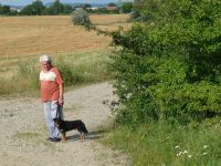 dvorska_panasonic_p1000328.jpg: 220k (2009-07-24 15:28)