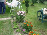 dvorska_panasonic_p1000339.jpg: 211k (2009-07-28 07:38)