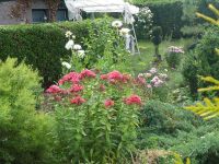 dvorska_panasonic_p1000344.jpg: 239k (2009-07-28 07:42)