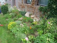 dvorska_panasonic_p1000347.jpg: 238k (2009-07-28 07:44)