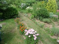 dvorska_panasonic_p1000349.jpg: 244k (2009-07-28 07:45)