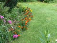 dvorska_panasonic_p1000351.jpg: 175k (2009-07-28 07:46)