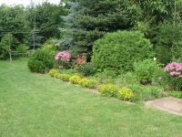 dvorska_panasonic_p1000353.jpg: 229k (2009-07-28 07:47)