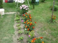 dvorska_panasonic_p1000368.jpg: 235k (2009-08-01 10:43)