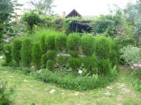 dvorska_panasonic_p1000377.jpg: 221k (2009-08-01 14:15)