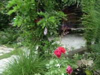 dvorska_panasonic_p1000379.jpg: 228k (2009-08-01 14:16)