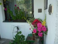 dvorska_panasonic_p1000403.jpg: 160k (2009-08-02 09:29)