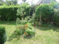 dvorska_panasonic_p1000436.jpg: 359k (2009-08-09 10:26)