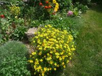 dvorska_panasonic_p1000437.jpg: 382k (2009-08-09 10:26)