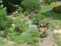 dvorska_panasonic_p1000439.jpg: 408k (2009-08-09 10:27)