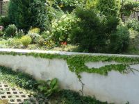 dvorska_panasonic_p1000444.jpg: 272k (2009-08-09 10:29)