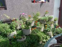 dvorska_panasonic_p1000455.jpg: 390k (2009-08-09 10:34)