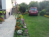 dvorska_panasonic_p1000462.jpg: 174k (2009-08-30 16:28)