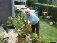 dvorska_panasonic_p1000484.jpg: 220k (2009-09-14 11:25)