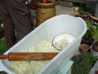 dvorska_panasonic_p1000485.jpg: 121k (2009-09-14 11:26)