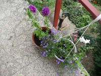 dvorska_panasonic_p1000500.jpg: 212k (2009-09-16 11:14)