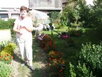 dvorska_panasonic_p1000527.jpg: 218k (2009-09-27 12:10)